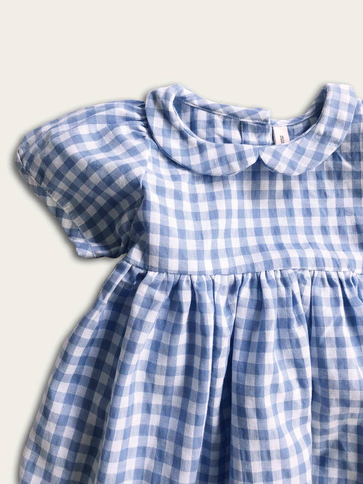 Blue gingham dress sleeve and neckline